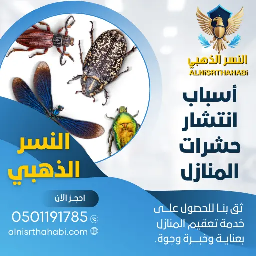 أسباب انتشار الحشرات في المنازل