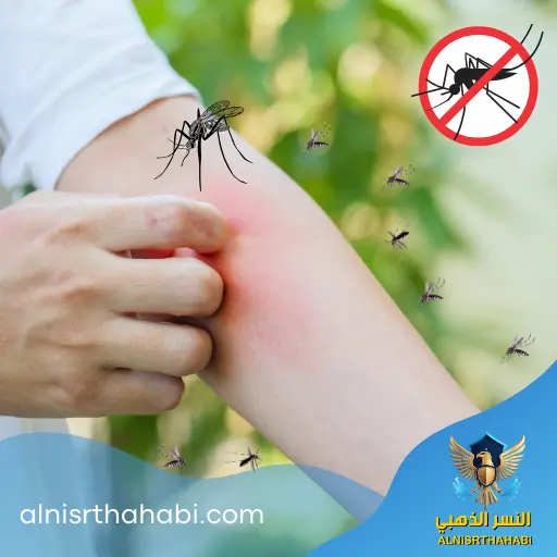 حلول مشكلة الحشرات في الإمارات 4 أسباب انتشار الحشرات في الإمارات