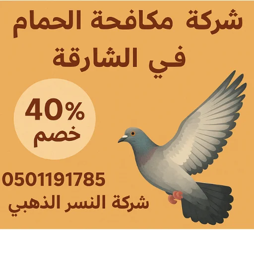 شركة مكافحة الحمام في الشارقة 4 مكافحة الطيور في الشارقة
