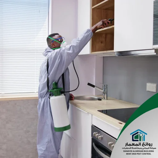 شركات رش حشرات في الشارقة