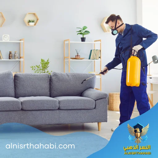 شركة مكافحة حشرات في عجمان 3 افضل شركة مكافحة حشرات في عجمان